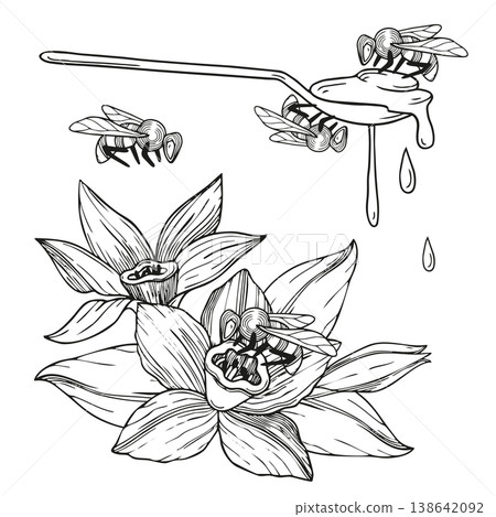 Hand-drawn graphic detailed illustration of bees, vanilla flowers, spoon of fresh honey for packaging, product design, ingredients Hand-drawn graphic detailed illustration of bees, vanilla flowers, spoon of fresh honey for packaging, product design, ingredients 138642092