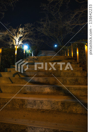 夜晚，公園裡的石階在路燈的照耀下顯得格外明亮。 138642233