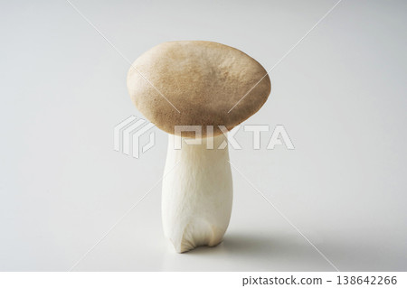 king oyster mushroom 138642266