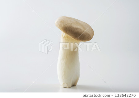 king oyster mushroom king oyster mushroom 138642270