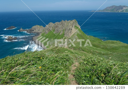 A refreshing view of summer nature, with a grassy path leading to the cape and the blue sea stretching out along the coast. A refreshing view of summer nature, with a grassy path leading to the cape and the blue sea stretching out along the coast. 138642289