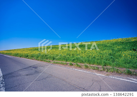 江戶川河岸和藍天 138642291