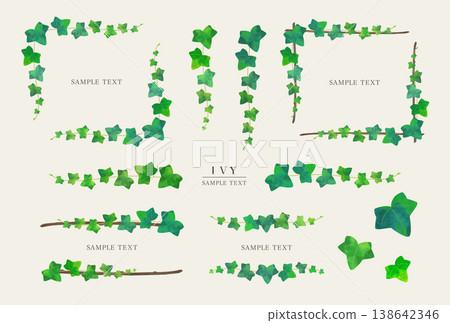 Natural decorative frame illustration set featuring ivy leaves (vector version) 138642346