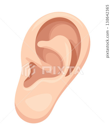 Ear, body parts. Flat vector clipart, illustration with isolated background. Ear, body parts. Flat vector clipart, illustration with isolated background. 138642365