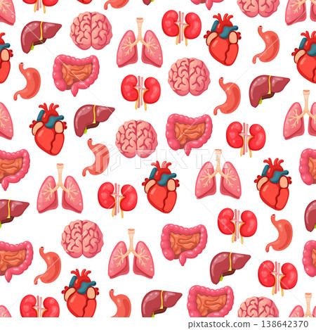 Internal organs seamless pattern. Flat vector clipart, illustration with isolated background. 138642370