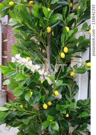 An artificial lemon bush on the street. 138642395