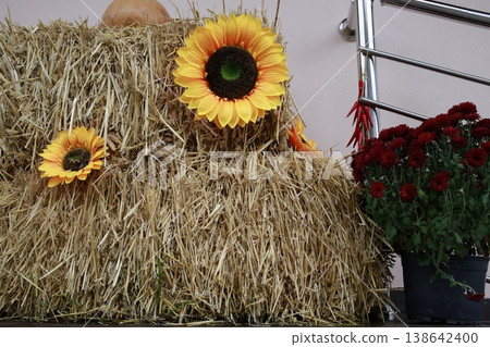 A large sunflower and a small sunflower. 138642400