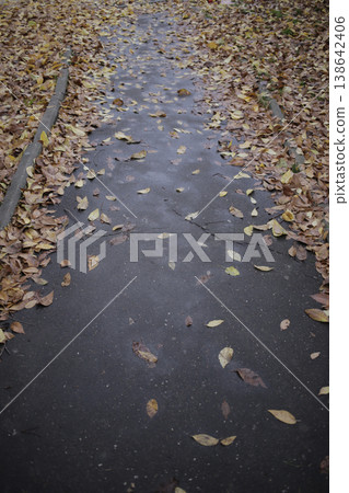 A well-trodden path through fallen leaves. A well-trodden path through fallen leaves. 138642406