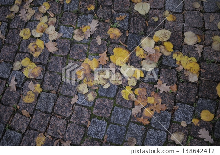 Dry leaves that fall on paving blocks. Dry leaves that fall on paving blocks. 138642412