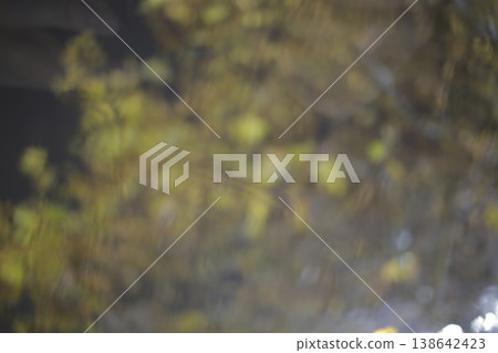 Blurred image of trees during rain. Blurred image of trees during rain. 138642423