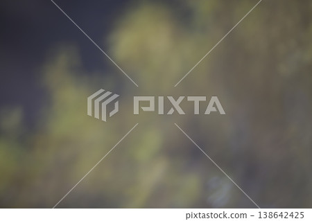 Blurred image of trees during rain. Blurred image of trees during rain. 138642425