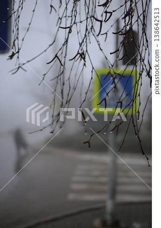 A pedestrian crossing on a foggy day. 138642513