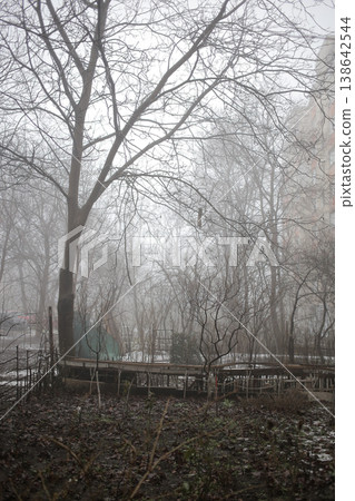 Winter fog in the city. Winter fog in the city. 138642544