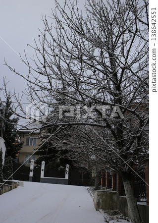 The alley is covered with fresh snow. The alley is covered with fresh snow. 138642551