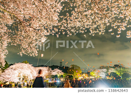 (Shizuoka Prefecture) Iwamotoyama, Mt. Fuji Lantern Festival (Shizuoka Prefecture) Iwamotoyama, Mt. Fuji Lantern Festival 138642643