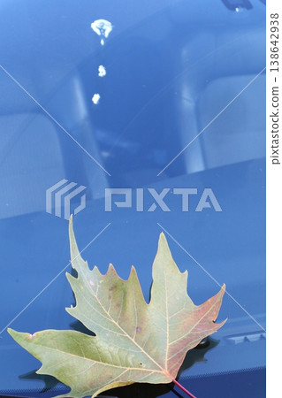 Autumn leaf on a car windshield. Autumn leaf on a car windshield. 138642938