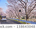 Cherry trees lining Kamogawa Street in Kyoto 138643048