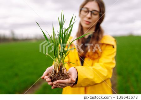 Farmer woman works in field, inspects the crop green wheat. Growing crops, green shoots. Farmer woman works in field, inspects the crop green wheat. Growing crops, green shoots. 138643678