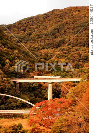 穿越秋日的天空，途經溫泉度假勝地…搭乘彌彥鐵道[6050系列]列車，前往秋色絢麗的川路溫泉。 138644037