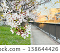 櫻花的風景 138644426