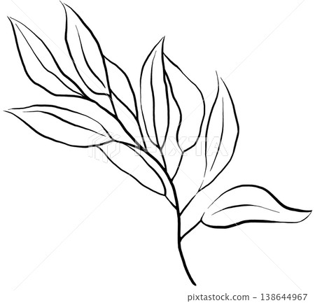 Hand drawn botanical twig with leaves, black line art isolated illustration. Design outline element Hand drawn botanical twig with leaves, black line art isolated illustration. Design outline element 138644967