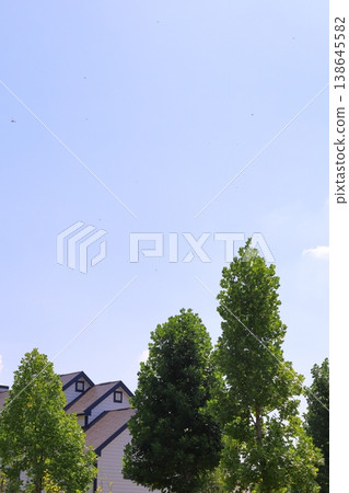 房屋和建築形象 房屋和建築形象 138645582