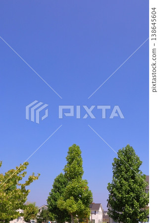 房屋和建築形象 房屋和建築形象 138645604