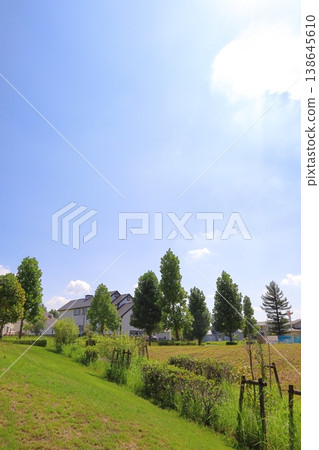 房屋和建築形象 房屋和建築形象 138645610