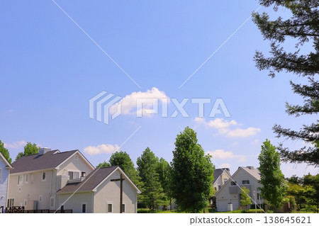 房屋和建築形象 房屋和建築形象 138645621