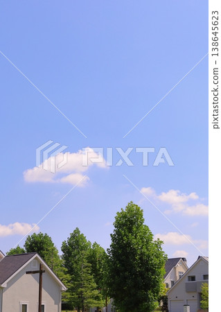房屋和建築形象 138645623