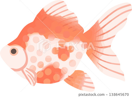 琉金金魚插圖,扁平向量圖 | 日式觀賞魚素材(白色背景,簡約風格) 琉金金魚插圖,扁平向量圖 | 日式觀賞魚素材(白色背景,簡約風格) 138645670