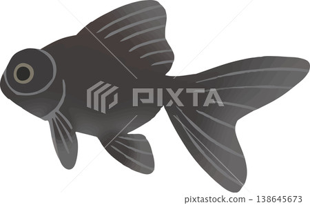金魚插圖(凸眼)- 扁平向量圖 | 日式觀賞魚素材(白色背景,簡約風格) 金魚插圖(凸眼)- 扁平向量圖 | 日式觀賞魚素材(白色背景,簡約風格) 138645673