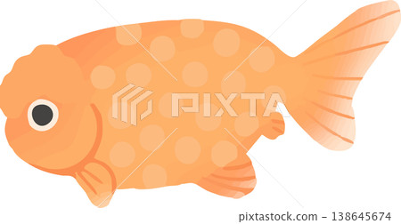 Ranchu goldfish illustration, flat vector | Japanese-style ornamental fish material (white background, simple) 138645674