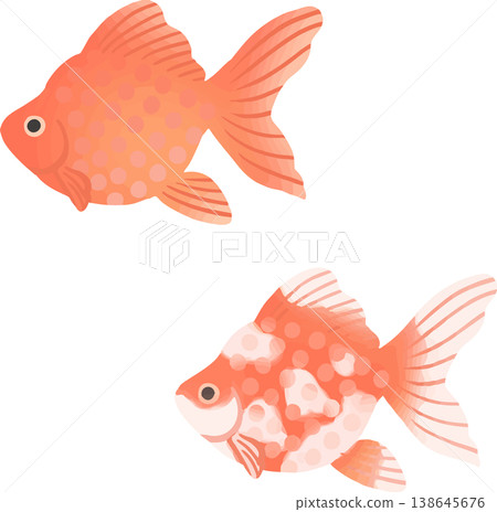 Ryukin goldfish illustration, flat vector | Japanese-style ornamental fish material (white background, simple) Ryukin goldfish illustration, flat vector | Japanese-style ornamental fish material (white background, simple) 138645676