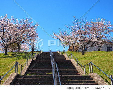 Ichihara City Chiharadai Park 138646029