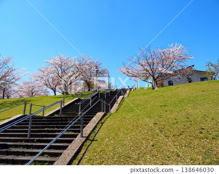 市原市茅原台公園 市原市茅原台公園 138646030