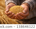 Two weathered hands holding a generous mound of harvested rice grains above a rustic farm-textured background. 138646122