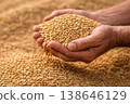 Hands carefully presenting a heap of rice grains against an earthy harvest backdrop with warm natural tones. 138646129
