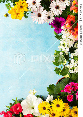 Colorful spring flowers fill a charming balcony, creating a lively atmosphere. The mix of petals and greenery enhances the outdoor space, perfect for enjoying the season 138646263