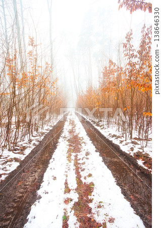 Dirt road in a wet winter forest Dirt road in a wet winter forest 138646330