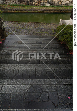Cobbled with rain Cobbled with rain 138646463
