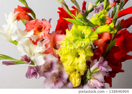 A group of mixed gladiolus flowers in shades of red, white, yellow, and purple stands in a vase. The flowers are fresh and arranged closely, creating a colorful bouquet A group of mixed gladiolus flowers in shades of red, white, yellow, and purple stands in a vase. The flowers are fresh and arranged closely, creating a colorful bouquet 138646904