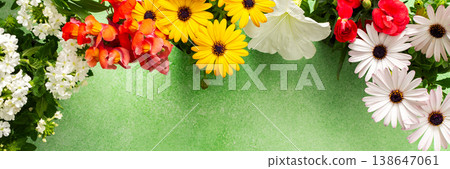 A beautiful array of spring flowers in various colors adorns a balcony, bringing life and brightness to the outdoor area. The flowers add joy and warmth to the setting., banner A beautiful array of spring flowers in various colors adorns a balcony, bringing life and brightness to the outdoor area. The flowers add joy and warmth to the setting., banner 138647061