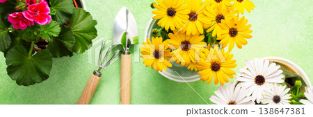 Colorful spring flowers in pots brighten a home balcony. Gardening tools are neatly arranged, ready for planting. This cheerful setup invites joy and beauty to the outdoor space, banner 138647381
