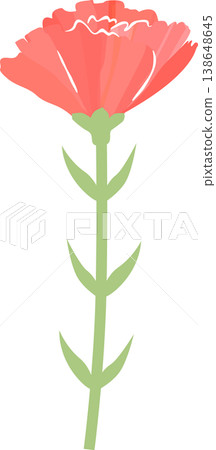 Vector illustration of a single red carnation Vector illustration of a single red carnation 138648645