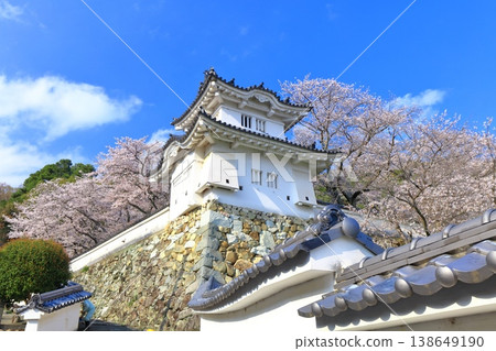[Hyogo Prefecture] Cherry blossoms in full bloom and the corner turret of Tatsuno Castle 138649190