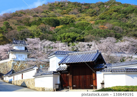 [Hyogo Prefecture] Cherry blossoms in full bloom and the corner turret of Tatsuno Castle 138649191