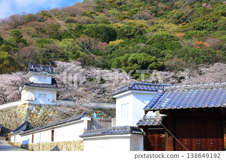 [Hyogo Prefecture] Cherry blossoms in full bloom and the corner turret of Tatsuno Castle 138649192