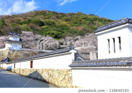 【兵庫縣】盛開的櫻花與龍野城的角樓 【兵庫縣】盛開的櫻花與龍野城的角樓 138649193