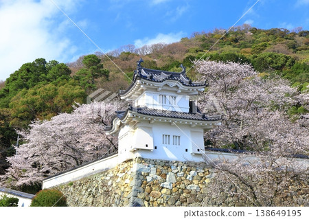 【兵庫縣】盛開的櫻花與龍野城的角樓 138649195